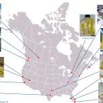 EDM-Article - North-America-Project-Cities-Map